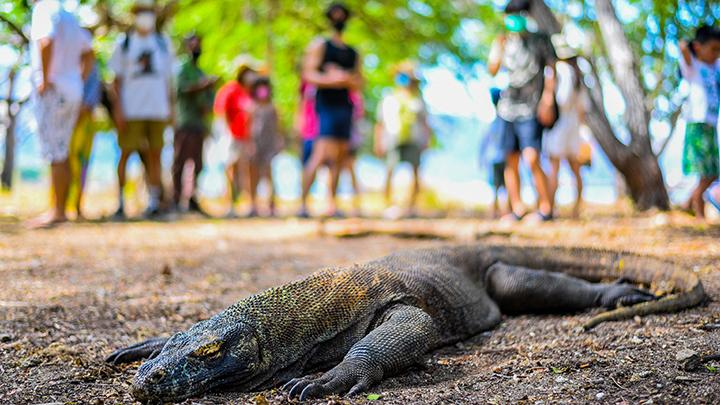 Soal UNESCO dan Proyek di Taman Nasional Komodo, Sandiaga Koordinasi dengan KLHK